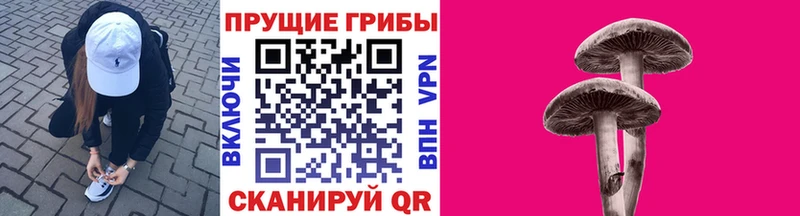 Галлюциногенные грибы GOLDEN TEACHER  Рыльск 
